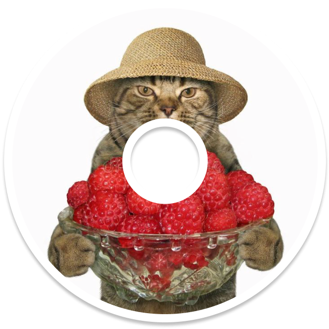 Image of a CD