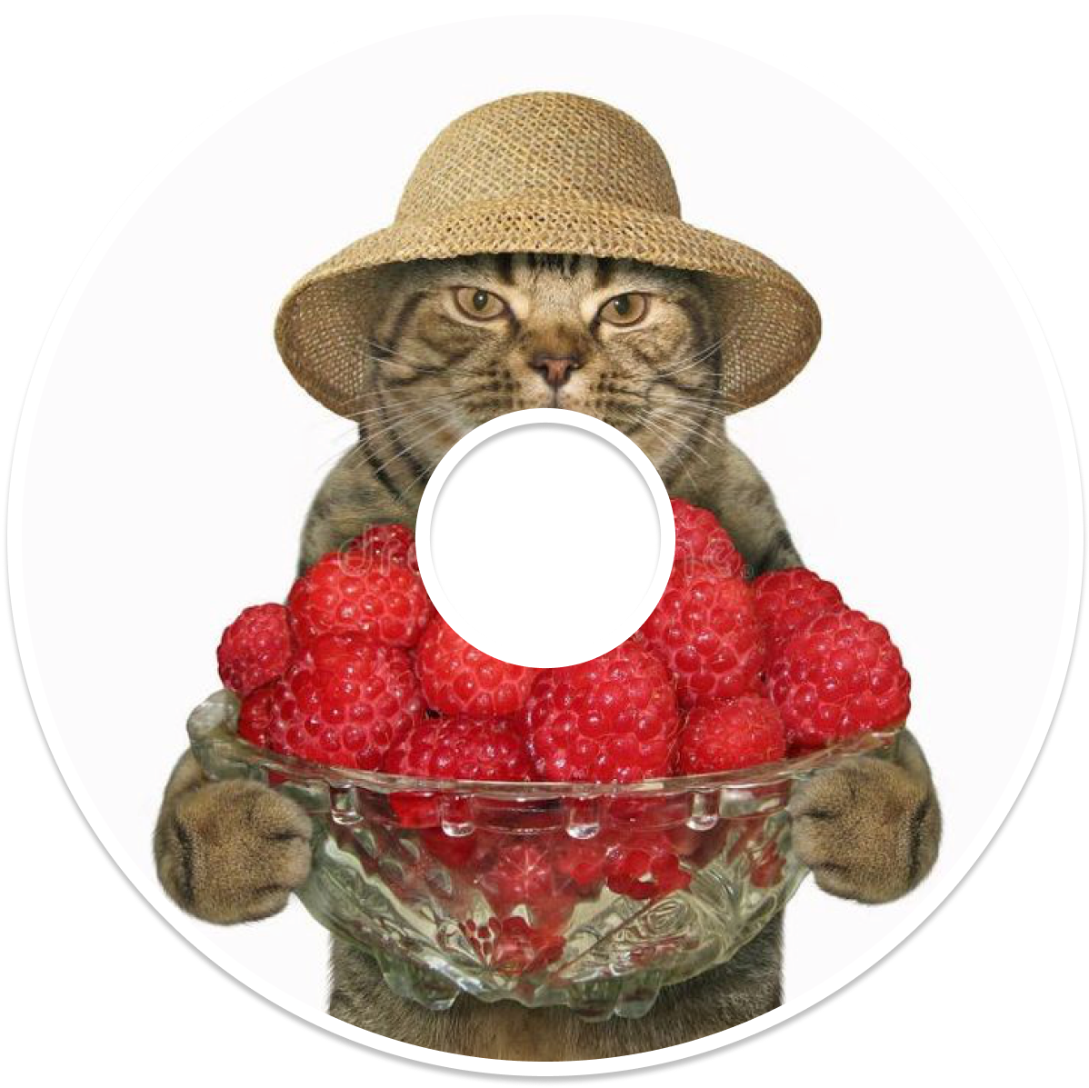 Image of a CD