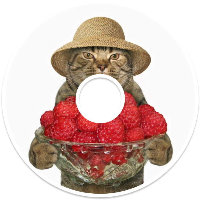 Image of a CD